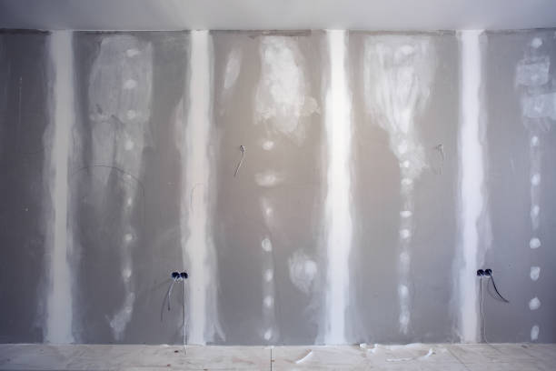 Best Drywall Removal and Disposal  in West Chicago, IL